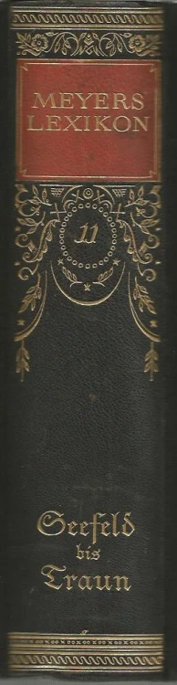 meyers-lexikon-11-grzbiet.jpg