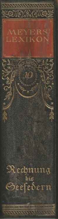 meyers-lexikon-10-grzbiet.jpg