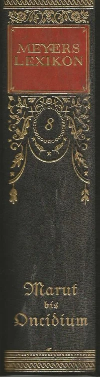 meyers-lexikon-8-grzbiet.jpg