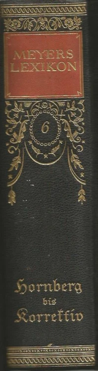 Meyers-Lexikon-6-grzbiet.jpg