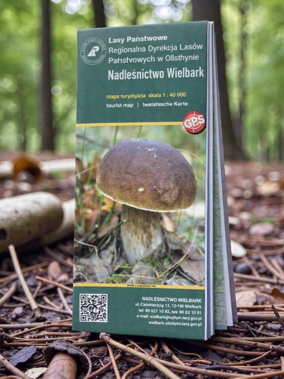 mapa-nadlesnictwo-wielbark-lasy-panstwowe-ollsthyn-papierowa