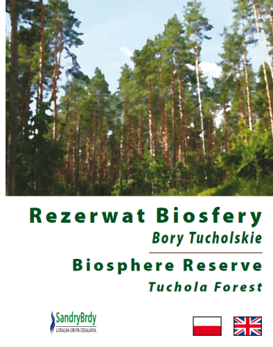 rezerwat-biosfery-bory-tucholskie