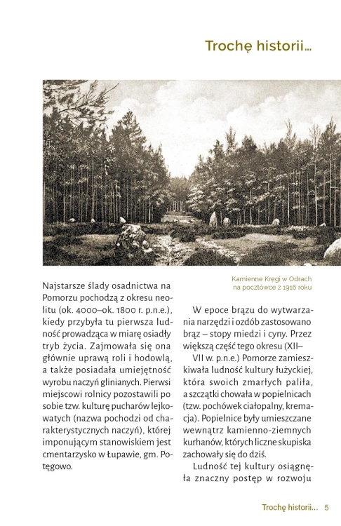 kamiennkregi_20263.jpg