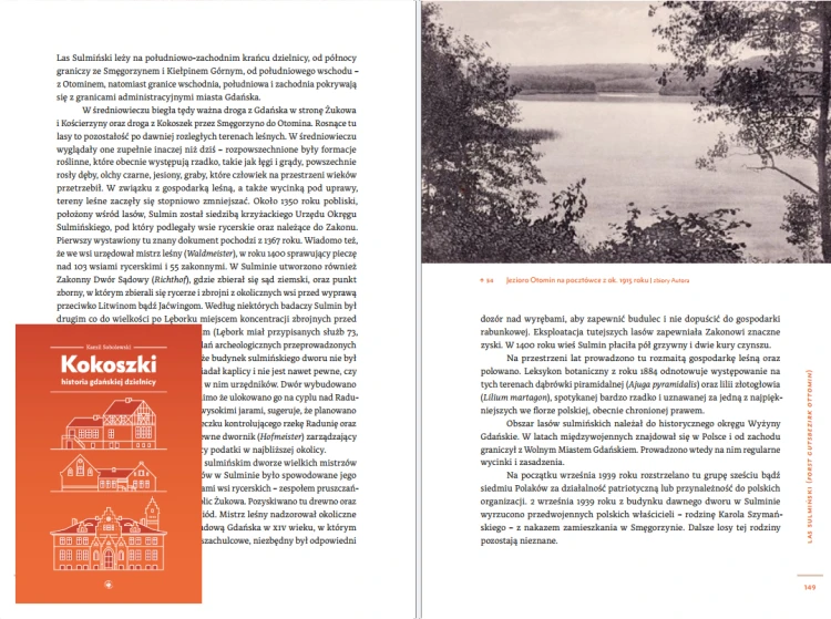 k_sobolewski_kokoszki_fragment_6.jpg